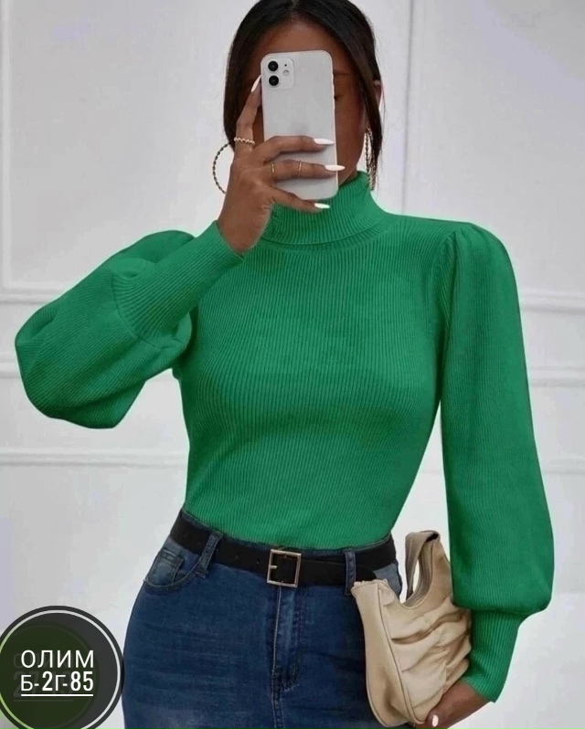 Водолазка 23031259