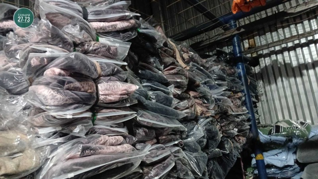 Пижама 23050582