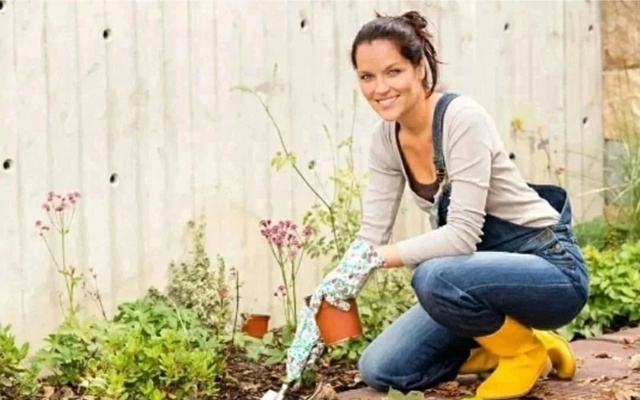 Перчатки 23120849