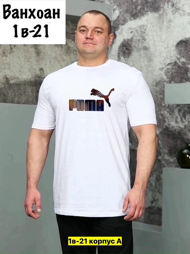 Футболка 23161719