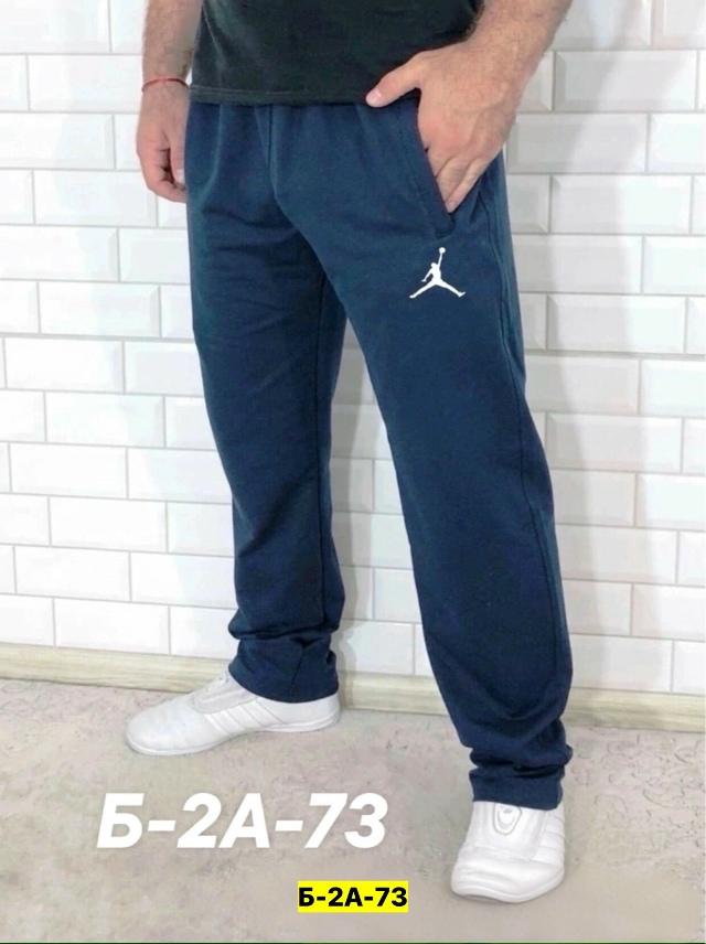 Штаны 23164169