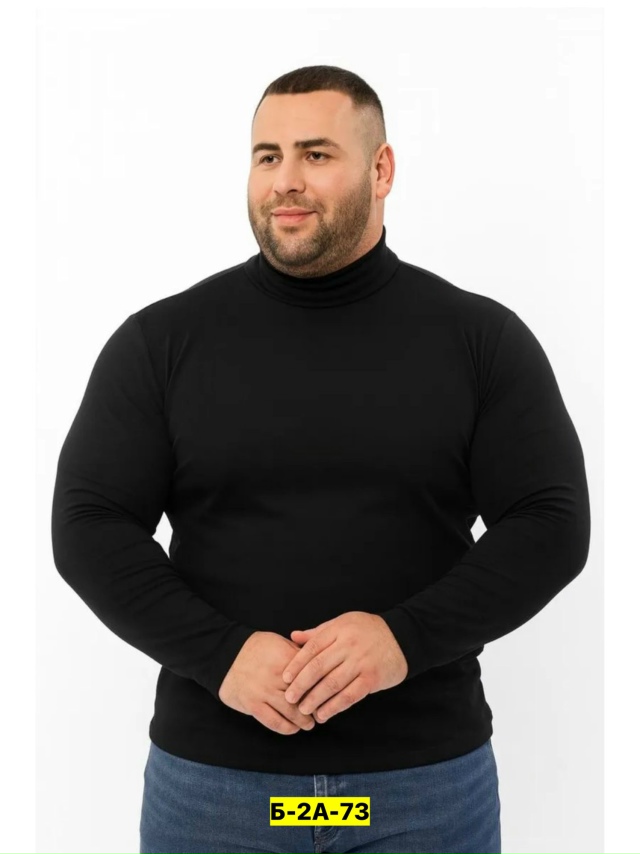 Водолазка 23165510